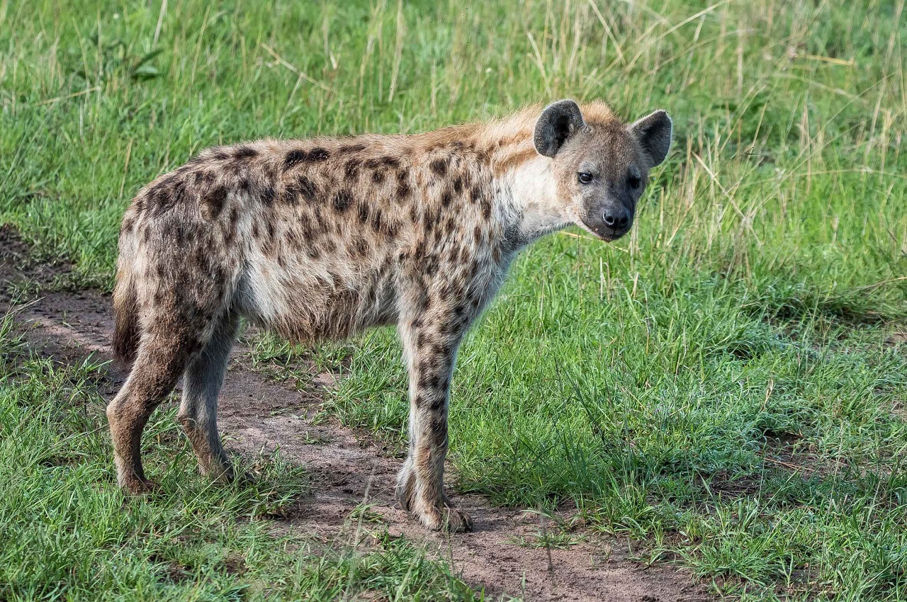 MIKUMI NATIONAL PARK